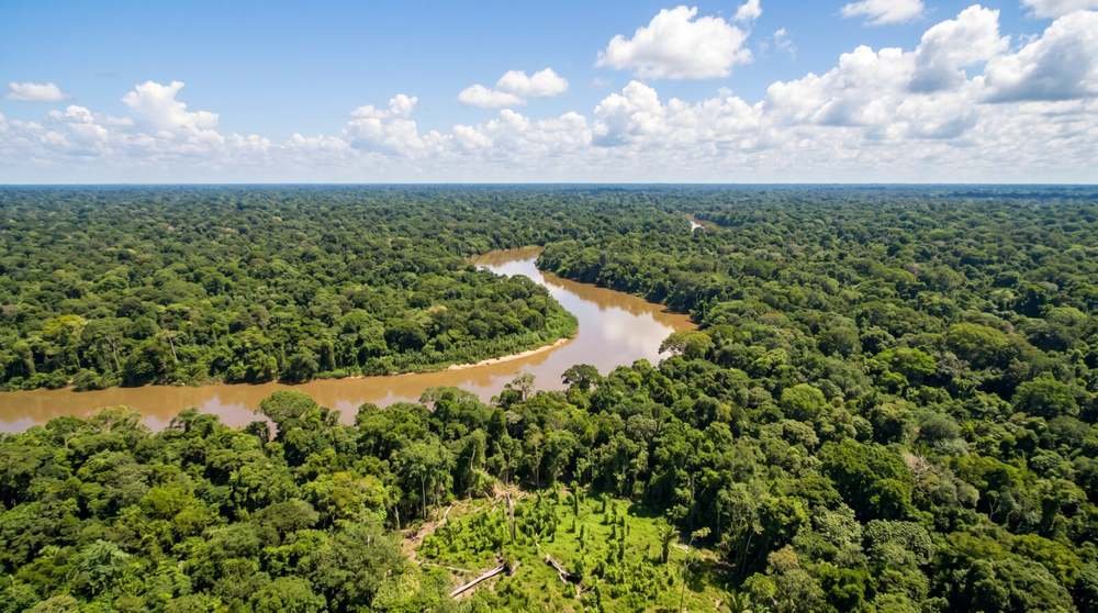 Vista aérea da floresta amazônica densa, com rio sinuoso e céu azul em plena luz do dia
