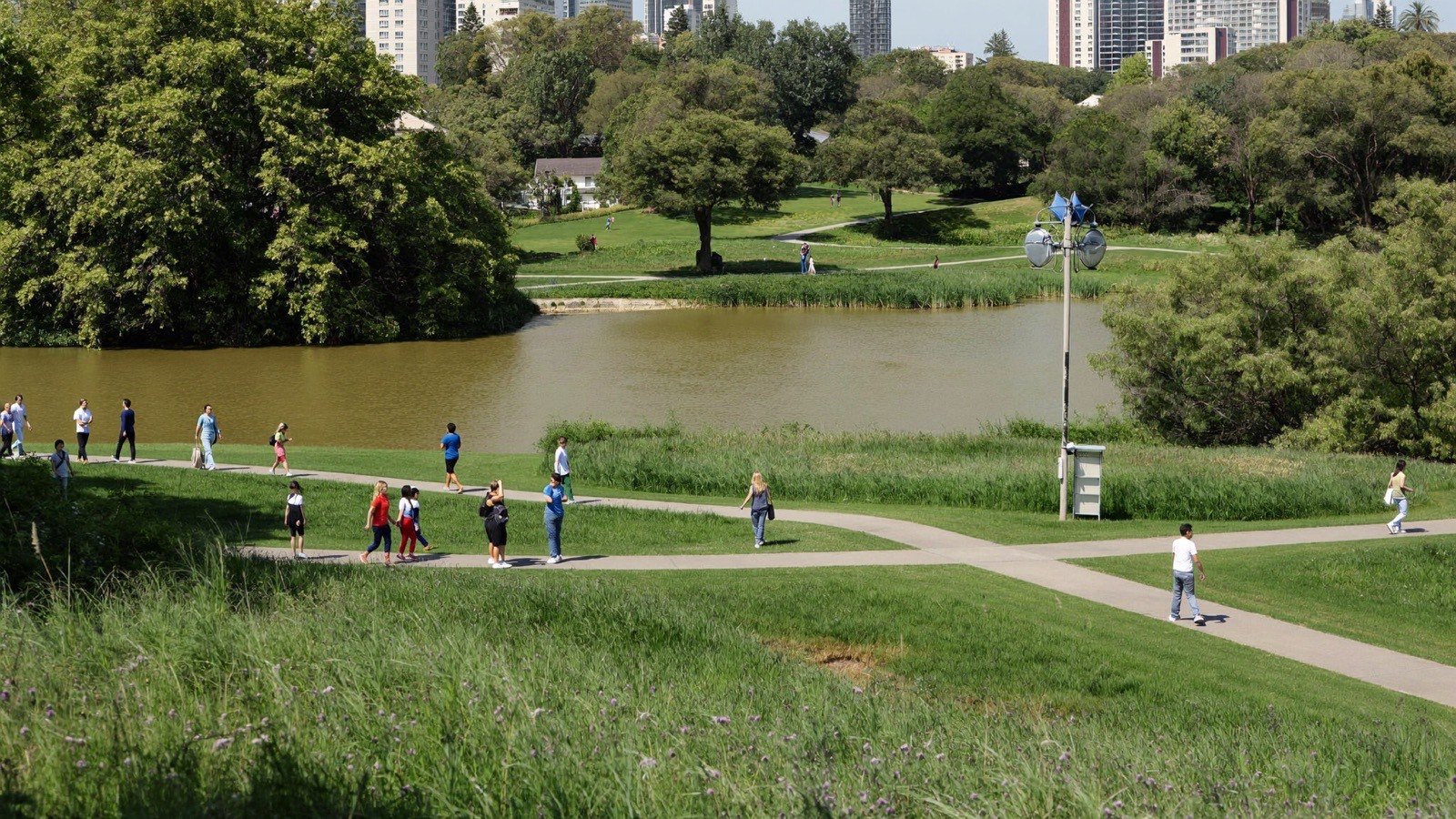 Parque urbano arborizado com pessoas caminhando