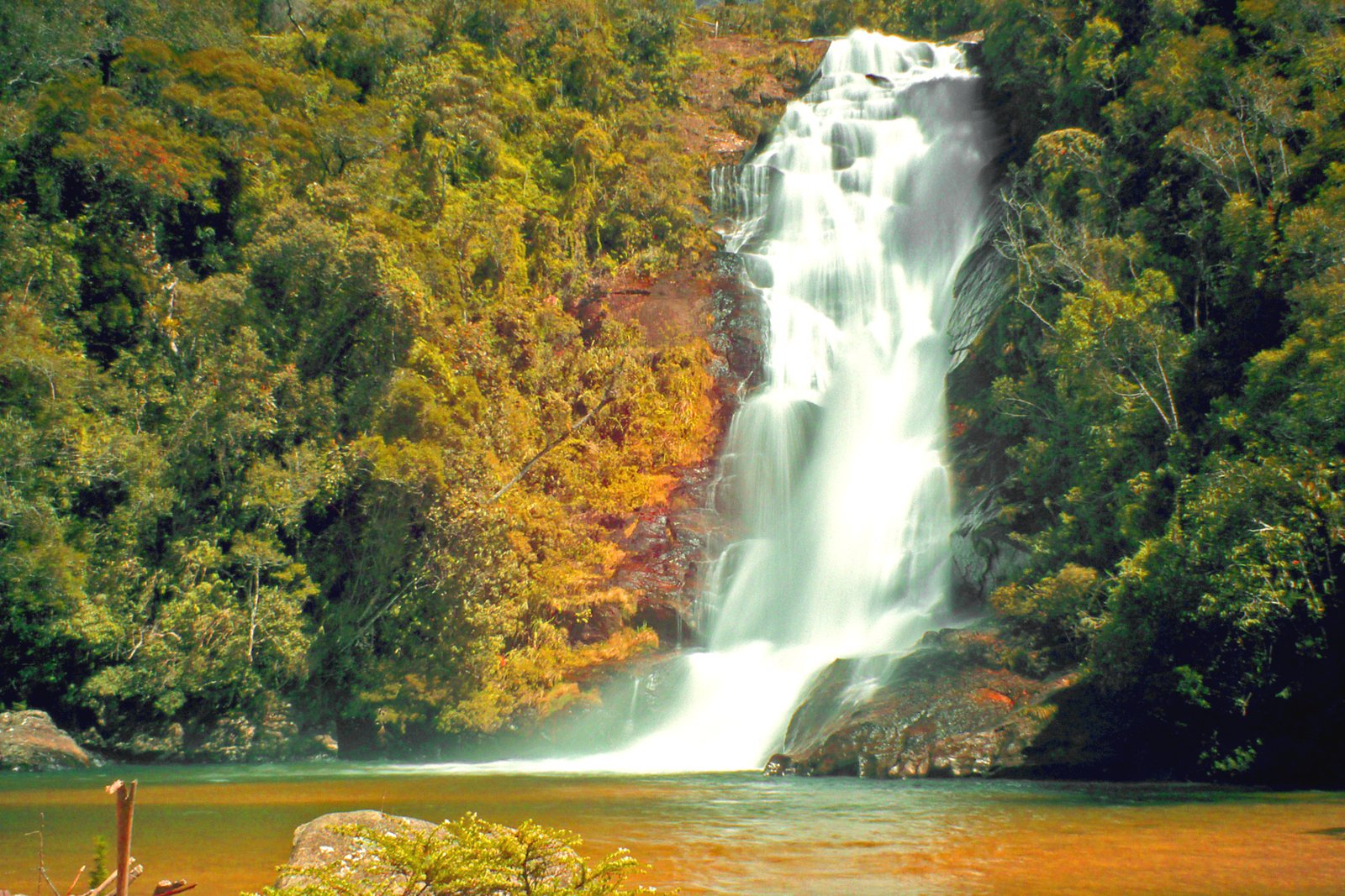 Cachoeira Santo Isidro, em São José do Barreiro (SP), cercada por mata (Foto: Adriano Aurelio Araujo/Wikimedia Commons, CC BY 2.0)