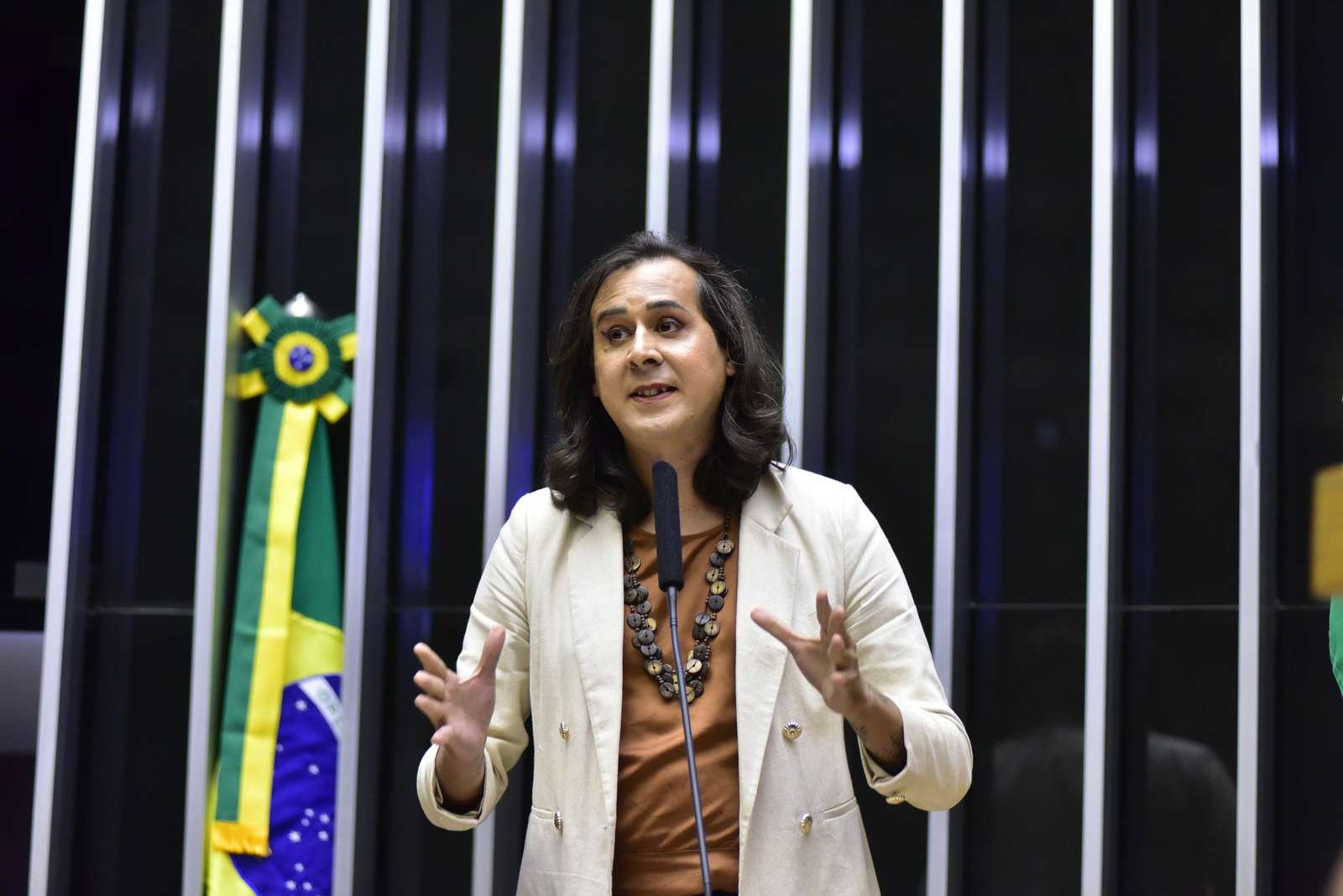 Duda Salabert discursa com as mãos erguidas em frente a um microfone no plenário da Câmara dos Deputados, com a bandeira do Brasil ao fundo, em ambiente bem iluminado