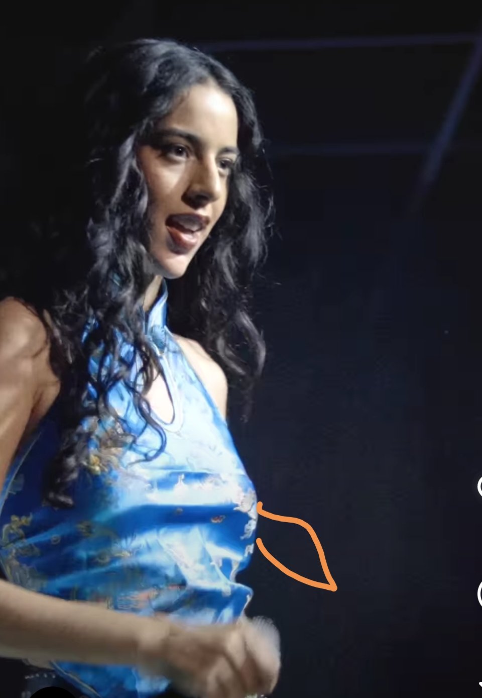 Marina Sena se apresentando ao vivo em show (Foto: Wikimedia Commons, CC BY 3.0)