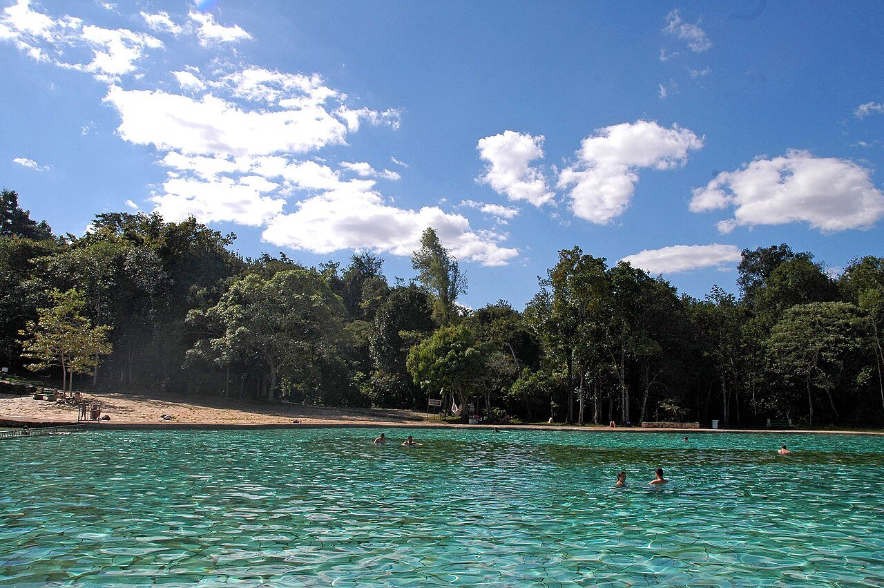 Vegetação de cerrado no Parque Nacional de Brasília